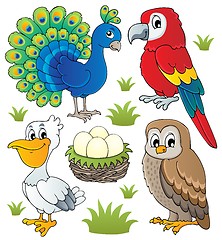 Image showing Various birds theme set 2