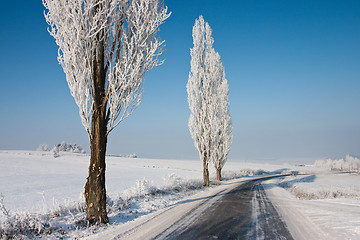 Image showing The road in winter