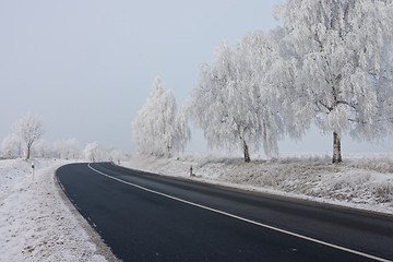 Image showing The road in winter