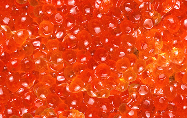 Image showing caviar red