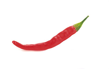 Image showing red hot chili pepper isolated on a white background