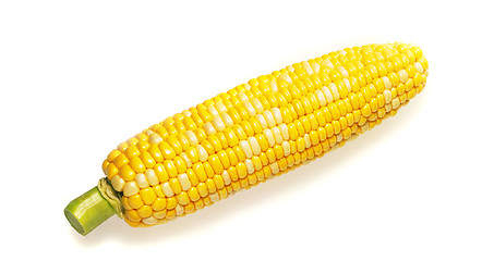 Image showing Fresh raw corn cob isolated on the white