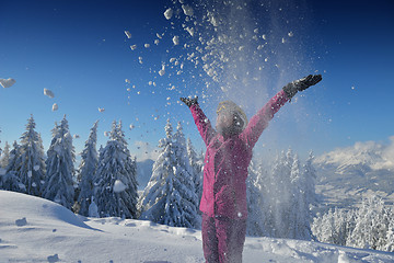 Image showing winter  fun and ski