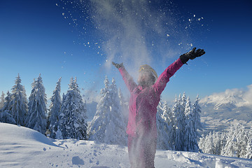 Image showing winter  fun and ski