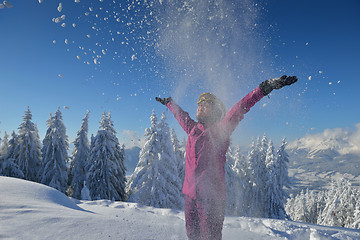 Image showing winter  fun and ski