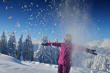 Image showing winter  fun and ski