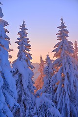 Image showing mountain winter landscape