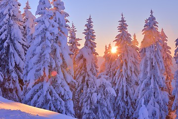 Image showing mountain winter landscape