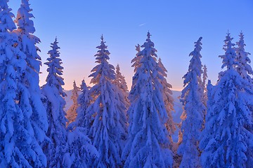 Image showing mountain winter landscape