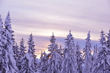 Image showing mountain winter landscape