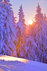 Image showing mountain winter landscape