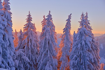 Image showing mountain winter landscape