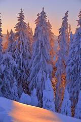 Image showing mountain winter landscape