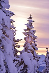 Image showing mountain winter landscape