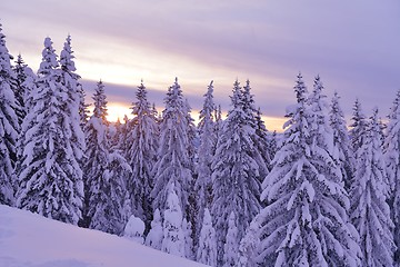 Image showing mountain winter landscape