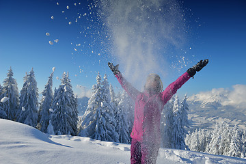 Image showing winter  fun and ski