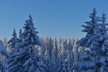 Image showing mountain winter landscape