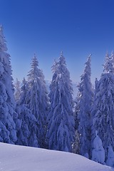 Image showing mountain winter landscape