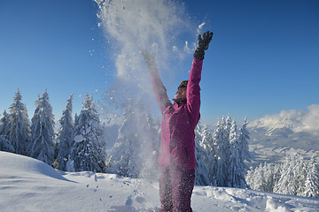 Image showing winter  fun and ski