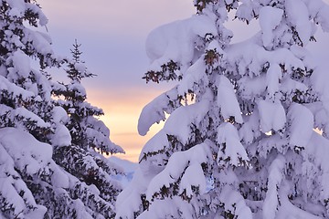 Image showing mountain winter landscape