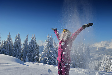 Image showing winter  fun and ski