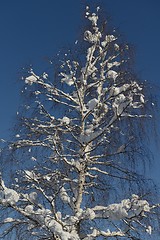 Image showing mountain winter landscape