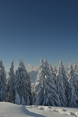 Image showing mountain winter landscape