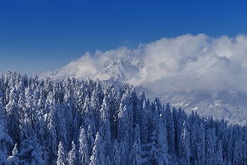 Image showing mountain winter landscape