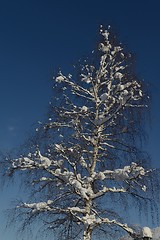 Image showing mountain winter landscape