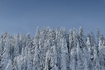 Image showing mountain winter landscape