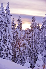 Image showing mountain winter landscape