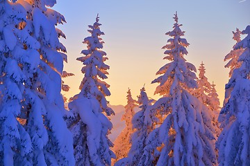 Image showing mountain winter landscape