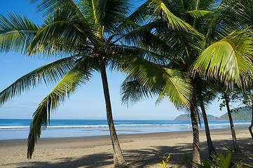 Image showing Tropical beach