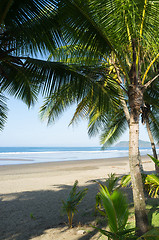 Image showing Exotic beach