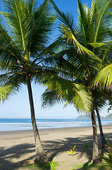 Image showing Exotic beach