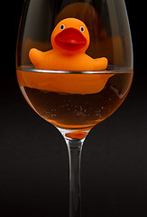 Image showing Orange rubber duck in a wineglass