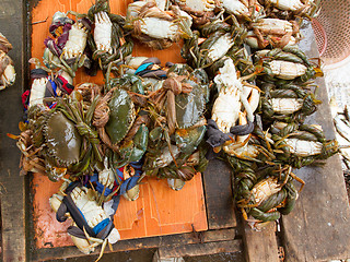 Image showing Crab for cunsumption on a Vietnamese market