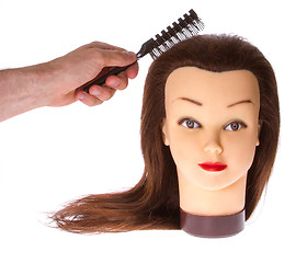 Image showing Barber student accessory 