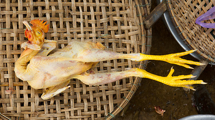 Image showing Chicken for consumption on a market