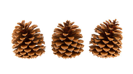 Image showing Three pine cones isolated