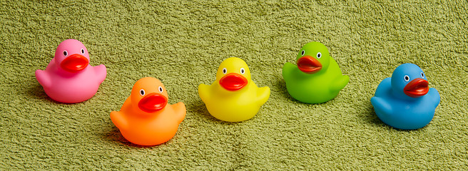 Image showing Rubber ducks isolated