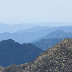 Image showing View of a the Vietnamese jungle