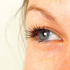 Image showing Women eye, close-up, blue