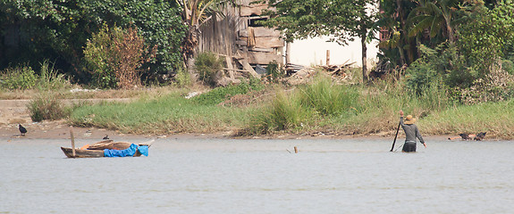 Image showing A vietnamese fisherman is searching for snakes and shells in the