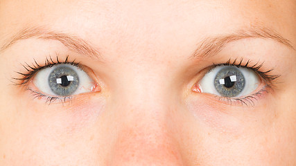 Image showing Women eye, close-up, blue