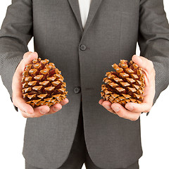 Image showing Man in grey suit is holding two pine cones