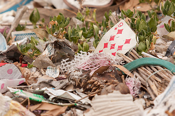 Image showing Old playing card on a pile of garbage