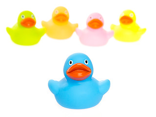 Image showing Rubber ducks isolated