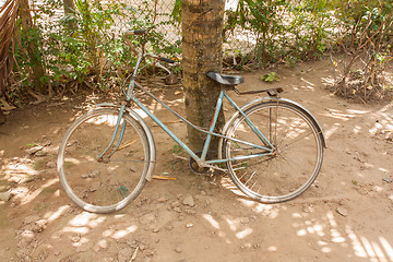 Image showing Abandoned bike near a tree