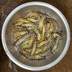 Image showing Live and very fresh tigerprawns at a Vietnamese market